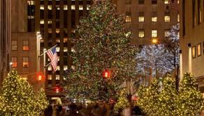 Gli Alberi di Natale più belli del Mondo nel 2021