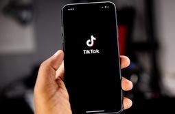 Picchiano senzatetto per fare video su TikTok (attenzione: immagini forti)