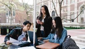 Materie Maturità 2022 tecnico agrario: tutte le materie indirizzo per indirizzo