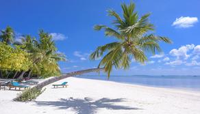 Alla scoperta della natura, fai il quiz per saperne di più!