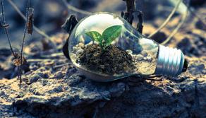 Guida semplice alle elezioni 2022: le proposte dei partiti politici sull'ambiente