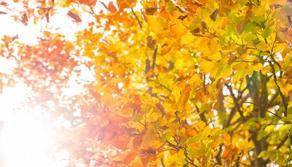 Quando cade l'equinozio d'autunno?