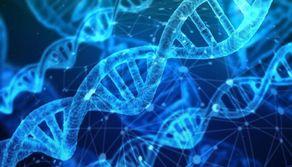 Liceo Life Science: diploma in quattro anni e lezioni che preparano a Medicina