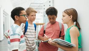 In classe tutti maschi e una sola bimba, i genitori si rivolgono al TAR ma il ricorso viene bocciato