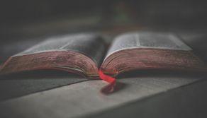 Simulazione prove INVALSI quinta superiore 2024: italiano