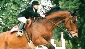 Matteo Messina Denaro e la storia del piccolo Giuseppe Di Matteo