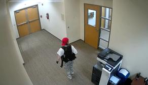 Chi è Audrey Hale, killer della strage di Nashville