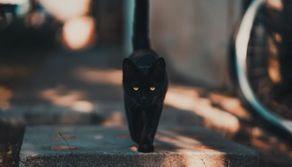 Perché si dice che venerdì 17 porta sfortuna?