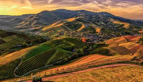 Cinque adolescenti rimettono in sesto vigneto abbandonato: "Basta crederci. E avere qualcuno che ci creda con te"