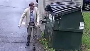 Il preside incontra l'orso saltato fuori dal cassonetto - VIDEO