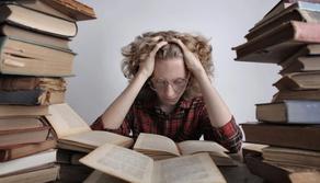 Chat GPT supera l'esame di Maturità in Olanda