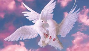 Cosa ne pensiamo del libro "Daylight" del Booktoker Victor Diamandis?