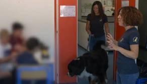 Se i cani diventano "insegnanti" di educazione sentimentale...