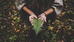 Università, 1 neolaureato su 7 ha fatto una tesi “green”. E studiare la sostenibilità fa lavorare di più e meglio