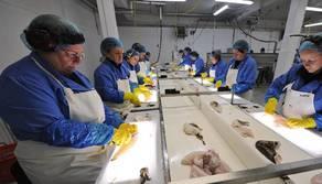 Lo sciopero delle donne in Islanda