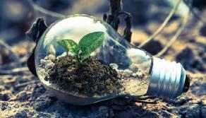 “Green” è da boomer: quando si parla di ambiente i giovani preferiscono i vocaboli italiani