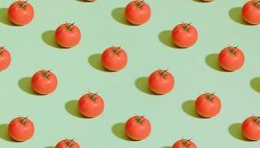 Tecnica del Pomodoro: cos’è e come funziona il metodo di studio?