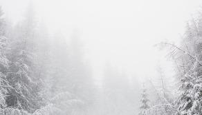 A 16 anni muore di freddo in Alto Adige, era uscita per una passeggiata