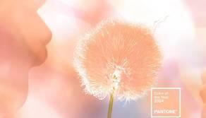 Pantone, il colore del 2024 è il Peach Fuzz