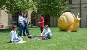 Università Politecnica delle Marche, l’Ateneo al Top delle classifiche occupazionali che punta sull’innovazione: scopri i corsi di laurea