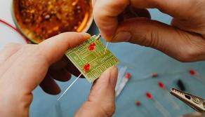 Commissari esterni Maturità 2024, Meccanica Meccatronica ed Energia: la lista delle materie