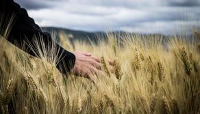 ITS Tech&Food Academy, l’eccellenza del Made in Italy per trovare subito lavoro: scopri tutti i corsi