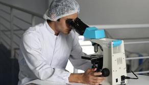 Test Medicina 2024, le domande della banca dati per il 28 maggio: il pdf del Mur