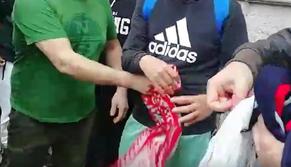 Tifoso del Taranto fa togliere la sciarpa del Bari alla scolaresca in gita