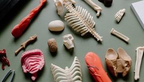 Specializzazioni Medicina, i posti disponibili 2024