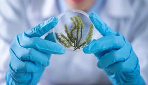 Primo anno di Biologia, come superare gli esami