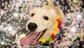 Quando iniziano le vacanze di Carnevale 2025?