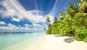 Cosa serve per sopravvivere in un'isola deserta? La guida definitiva