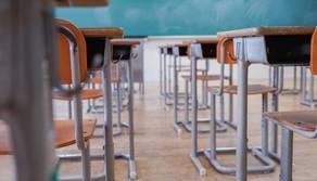 Occupato liceo Plinio Seniore a Roma: dalla Palestina all'educazione sessuo-affettiva, le battaglie degli studenti