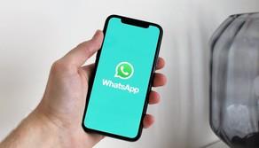 WhatsApp, come salvare i messaggi in bozza