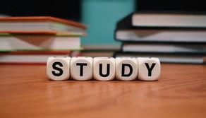 Iscrizioni scuola 2025/26, perché non iniziano più da oggi 8 gennaio