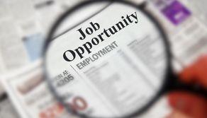 Lavoro: perché studiare… Scienze Politiche