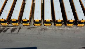 Se accompagni i tuoi figli a scuola i mezzi pubblici sono gratis: l'iniziativa del comune di Bologna