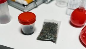 Era tra i più grandi produttori di droghe sintetiche d'Europa: studente universitario arrestato a Torino