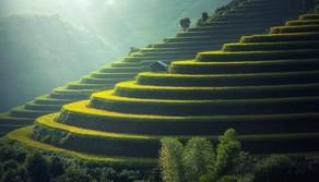 Maturità 2025, collegamenti sulla Natura: temi ed esempi pluridisciplinari