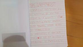 "Sono completamente innamorato di Giulia": dopo anni la chat aiuta l'ex studente a decifrare il diario in codice