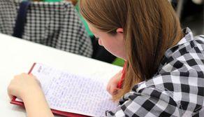 Studentessa 'bullizza' la compagna sui social: i genitori dovranno risarcire la vittima