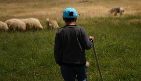 A 13 anni è ambasciatore del Made in Italy: 'Da grande voglio fare il pastore. Al cellulare preferisco gli animali'