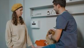 Veterinaria 2025/26, come funziona l'accesso al corso di laurea: la guida completa