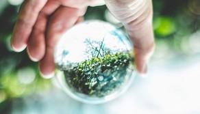 Giornata Mondiale dell'Ambiente, perché è il 5 giugno