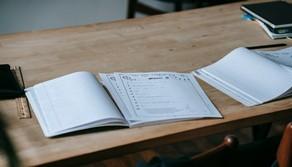 Maturità 2025 prima prova, traccia tema di attualità 2 - Tipologia C: indignazione e piattaforme social