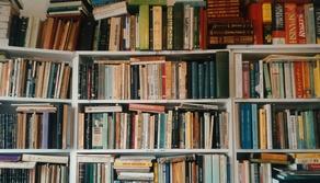 Libri scolastici Libraccio: nuovi e usati, come trovarli