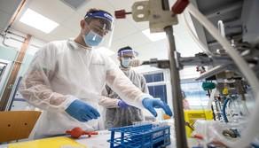 Fondazione VITA: con i corsi ITS oltre l'80% degli studenti diplomati trova lavoro nelle life sciences