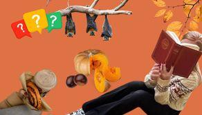 Quale frase autunnale racchiude la tua essenza? Fai il quiz