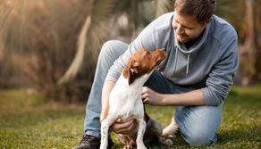 Vuoi prendere un cane? Prima devi superare un test per capire se sei in grado: ecco dove succede