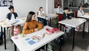 Privacy a scuola, il Garante aggiorna il suo 'galateo': IA, registro elettronico, compiti in classe i temi principali